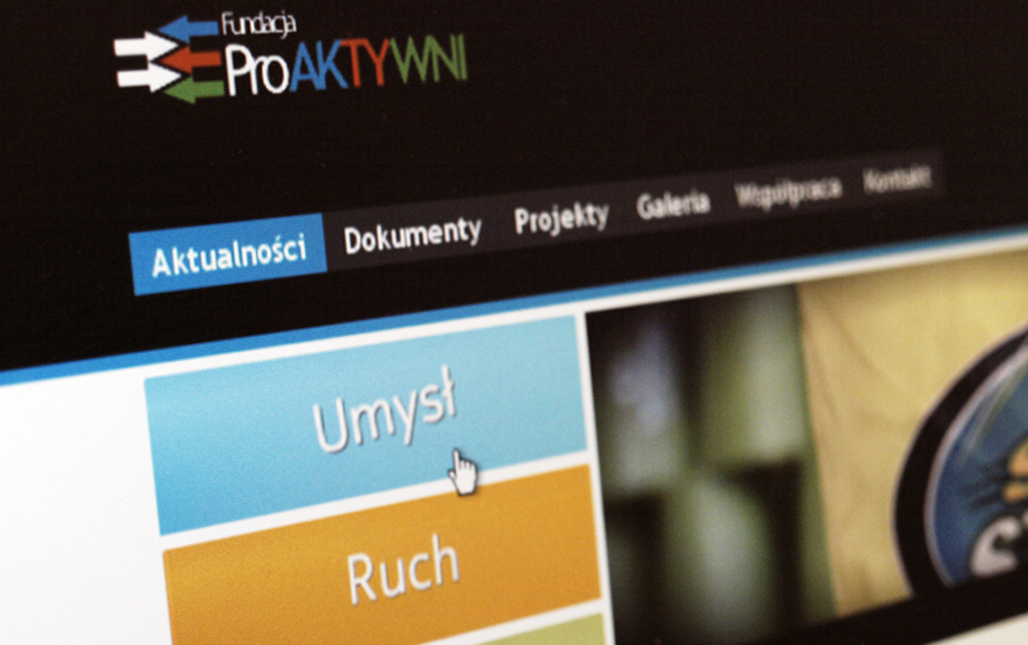 ProAktywni - website detail